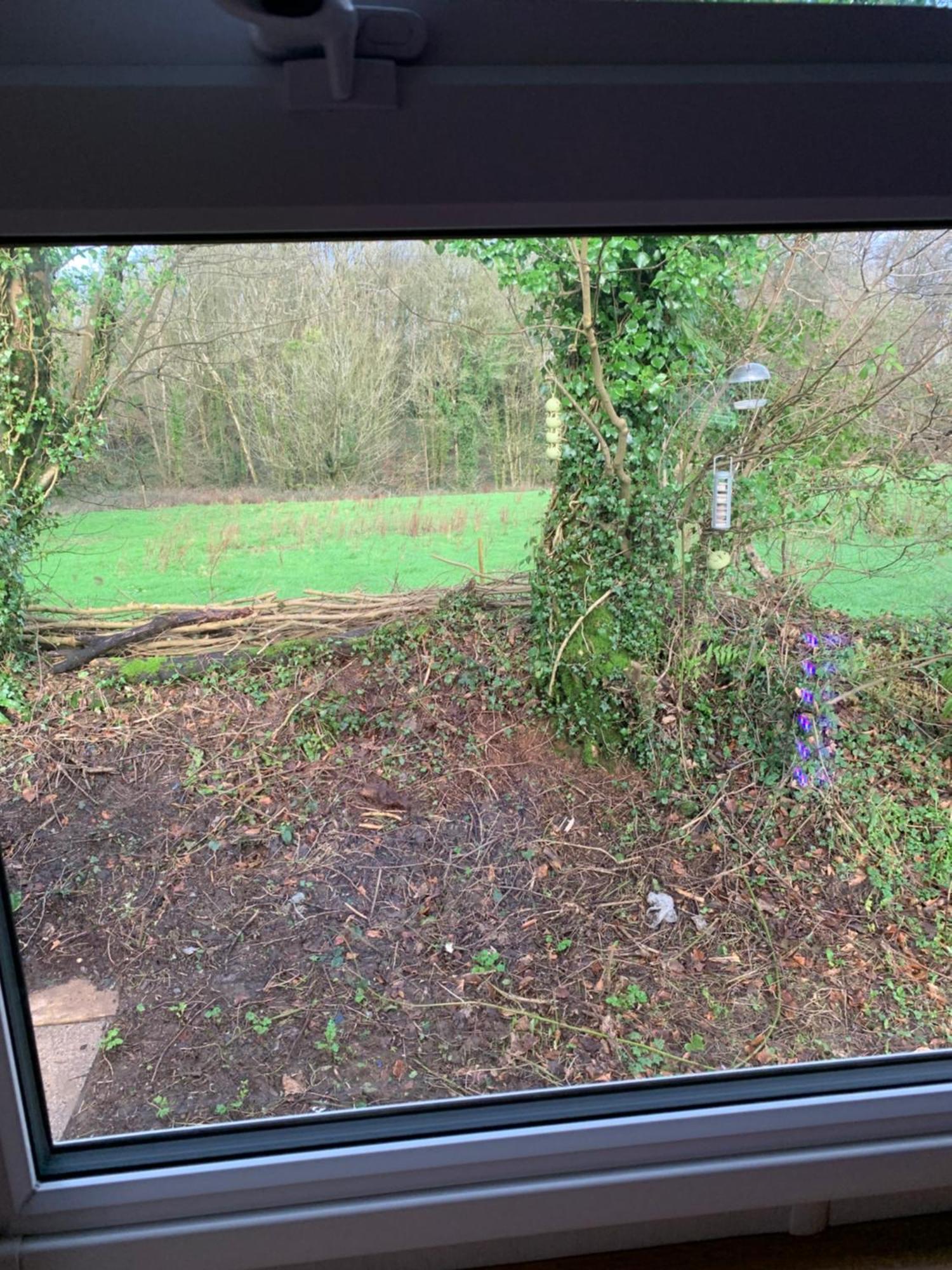 4 Devon Country, Bideford Bay Holiday Park Bucks Mills Екстер'єр фото